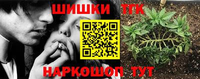 стаф Шебекино