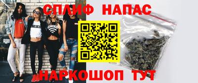 СК Шелехов