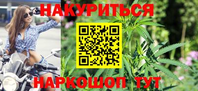 стаф Шебекино