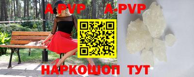 стаф Шебекино