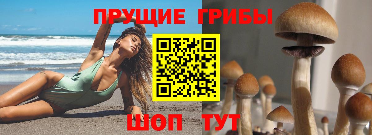 Новый Уренгой  Галлюциногенные грибы мухоморы  Вход с VPN 